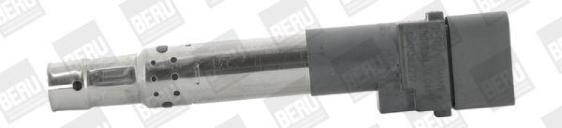 BorgWarner (BERU) Ignition Coil