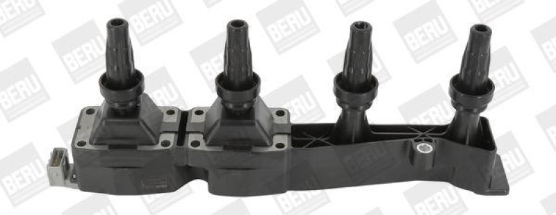 BorgWarner (BERU) Ignition Coil