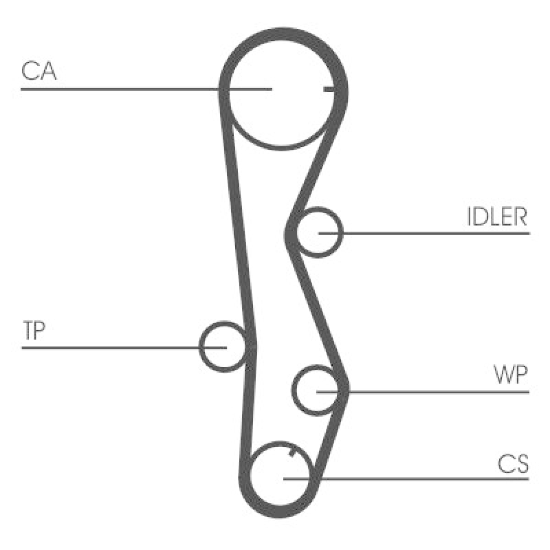 CONTINENTAL CTAM Wasserpumpe + Zahnriemensatz