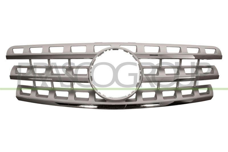 Radiator Grille