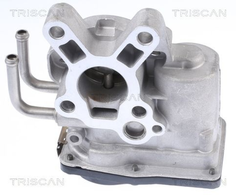 TRISCAN EGR Valve