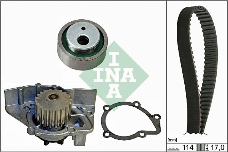 INA Water Pump & Timing Belt Set