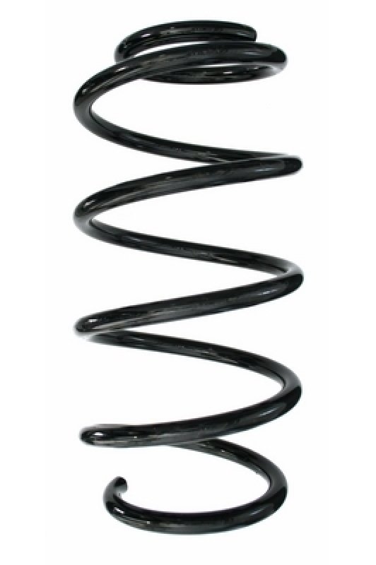 SPIDAN Suspension Spring