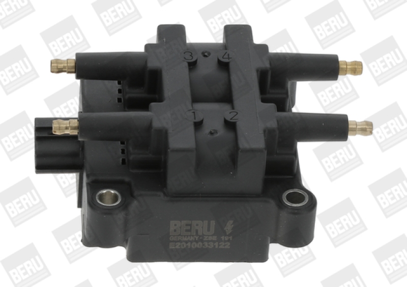 BorgWarner (BERU) Ignition Coil