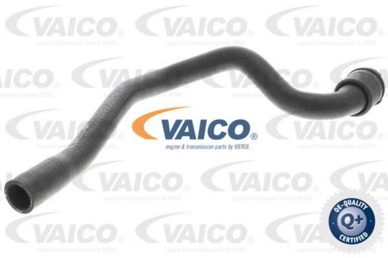 VAICO Radiator Hose Q+, original equipment manufacturer quality