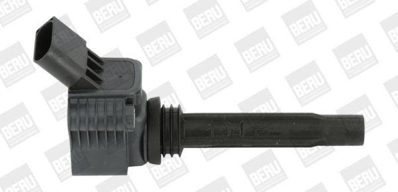 BorgWarner (BERU) Ignition Coil