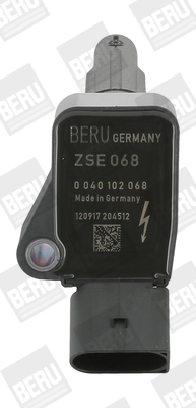 BorgWarner (BERU) Ignition Coil