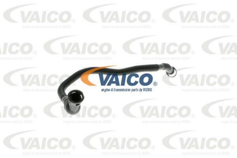 VAICO Hose, crankcase breather Original VAICO Quality