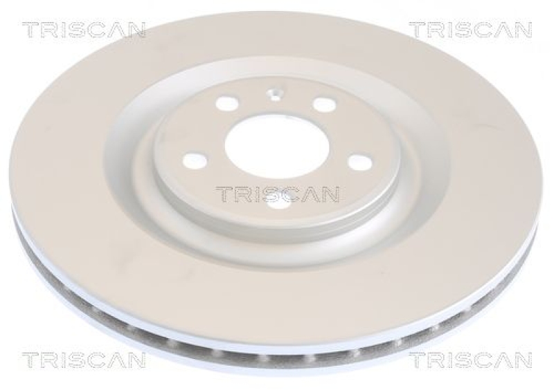 2x TRISCAN Brake Disc