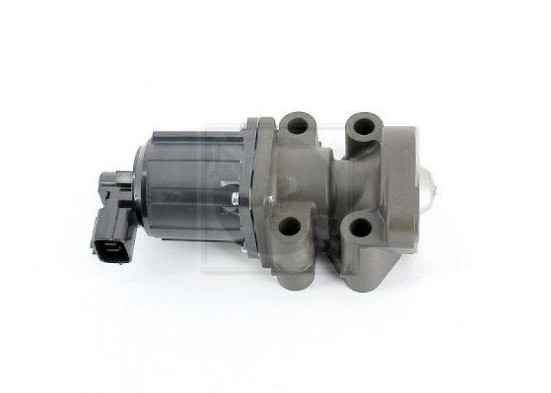 NPS EGR Valve