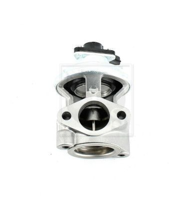 NPS EGR Valve