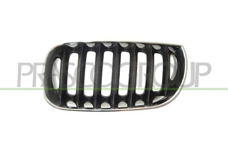 Radiator Grille