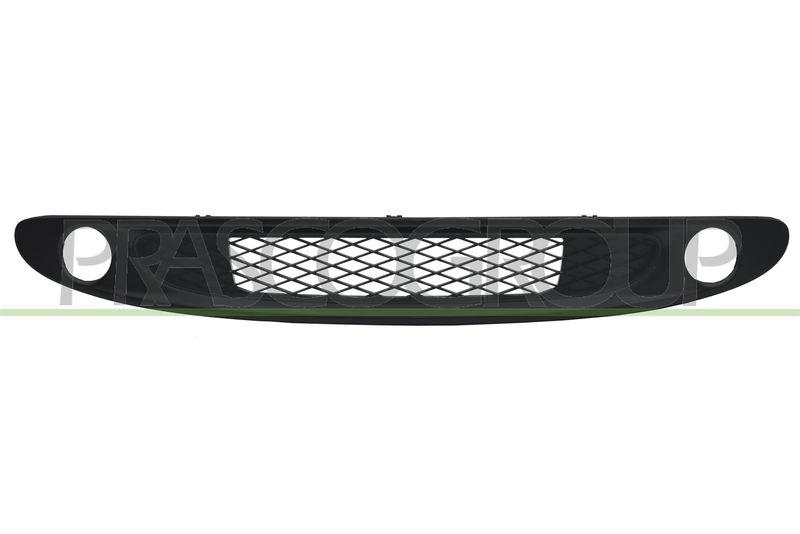 Radiator Grille