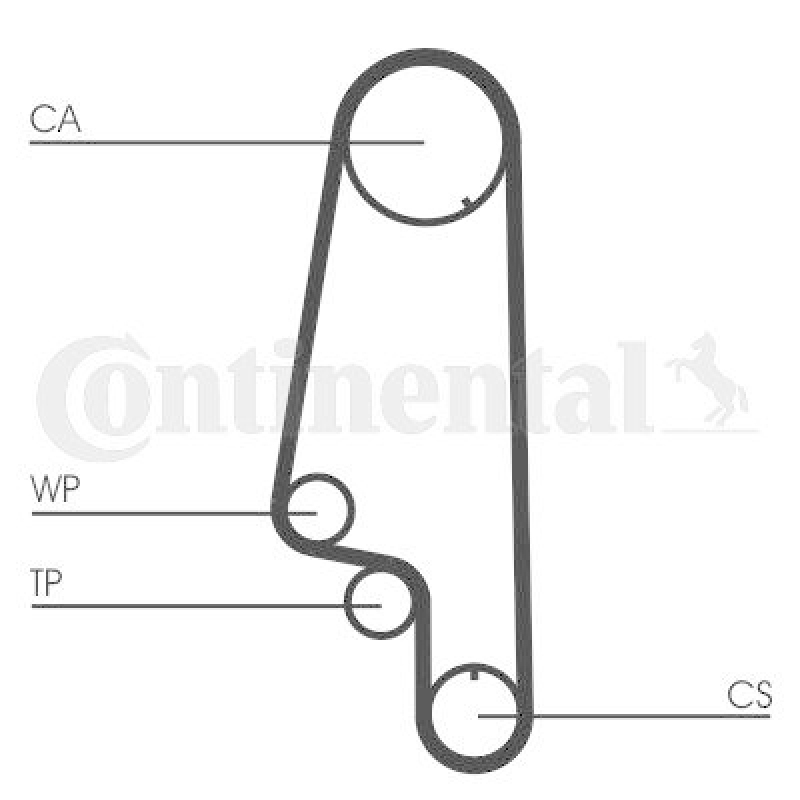 CONTITECH Water Pump & Timing Belt Kit