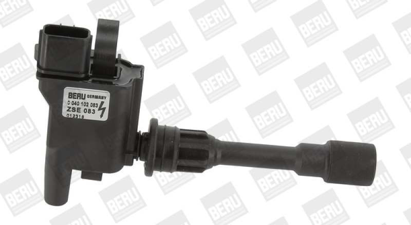 BorgWarner (BERU) Ignition Coil