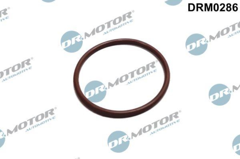 Dr.Motor Automotive Dichtung, Kraftstoffpumpe