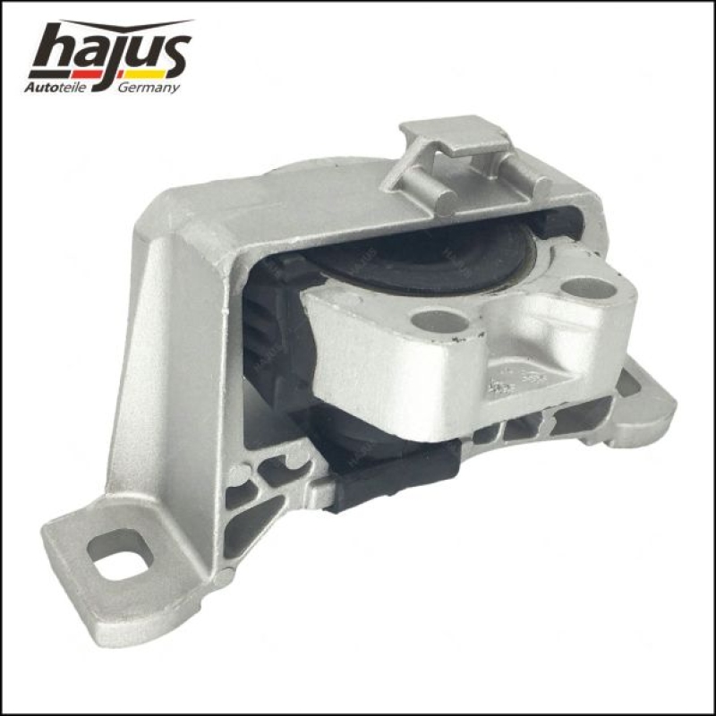 hajus Autoteile Lagerung, Motor