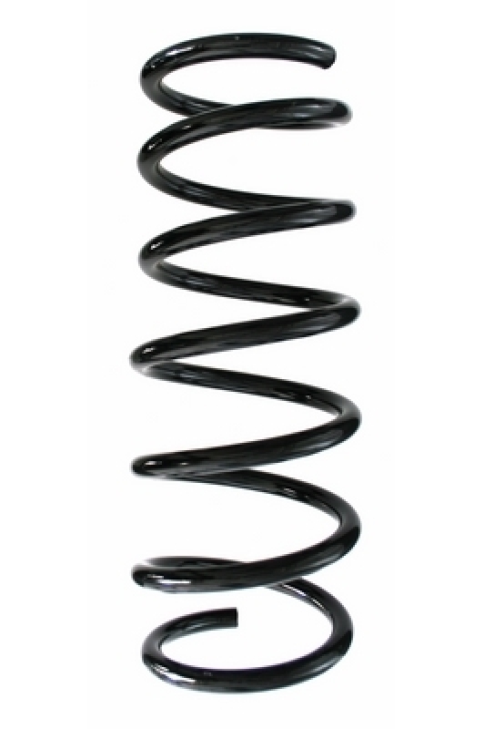 SPIDAN Suspension Spring