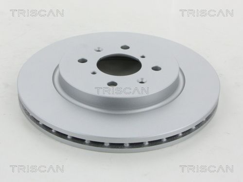 2x TRISCAN Brake Disc