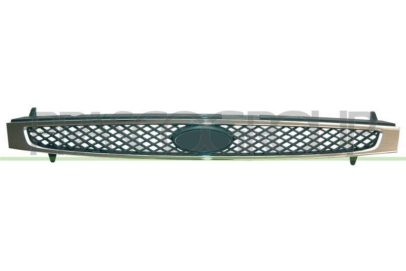 Radiator Grille