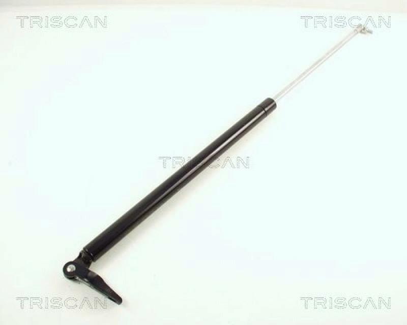 TRISCAN Gas Spring, boot-/cargo area