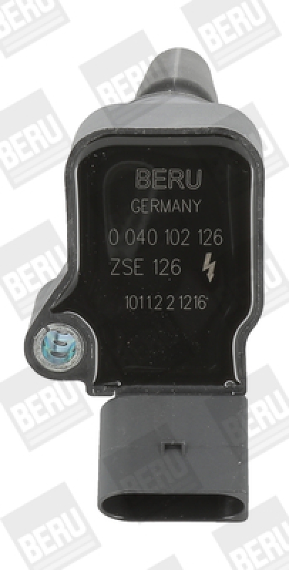 BorgWarner (BERU) Ignition Coil