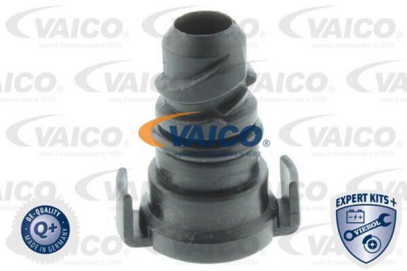 VAICO Sealing Plug, oil sump EXPERT KITS +