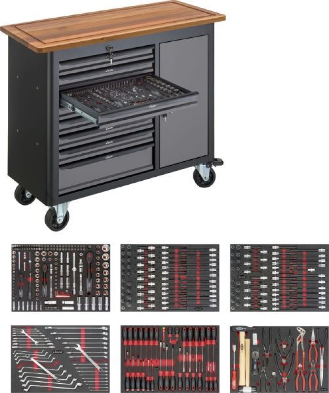 VIGOR Workbench