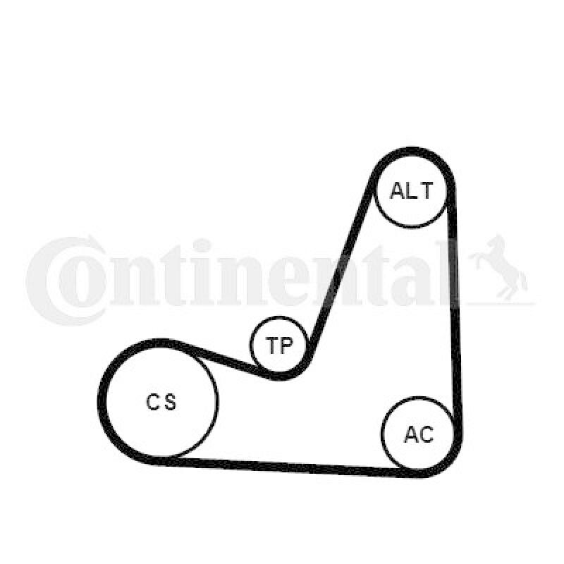 CONTINENTAL CTAM Keilrippenriemensatz