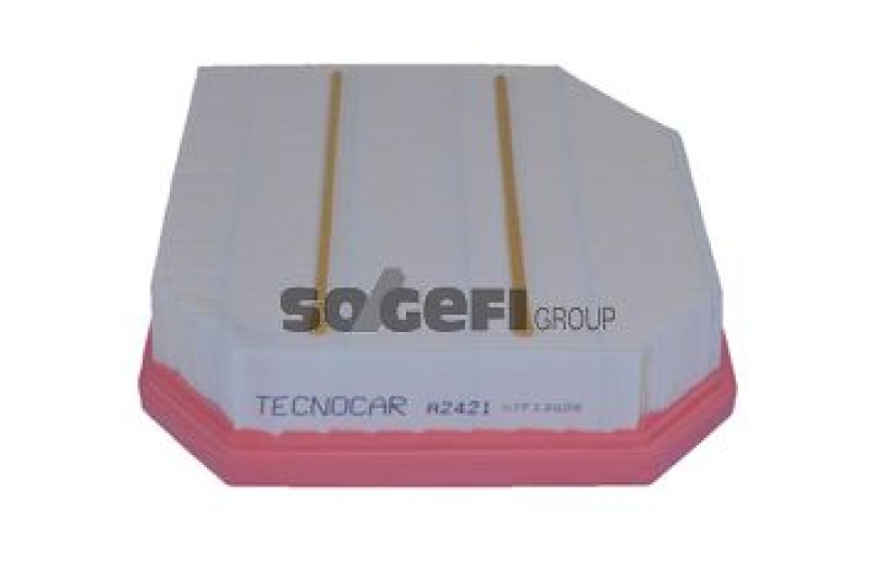 TECNOCAR Air Filter