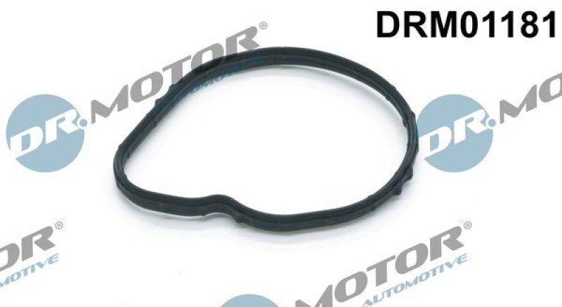 Dr.Motor Automotive Dichtung, Thermostat