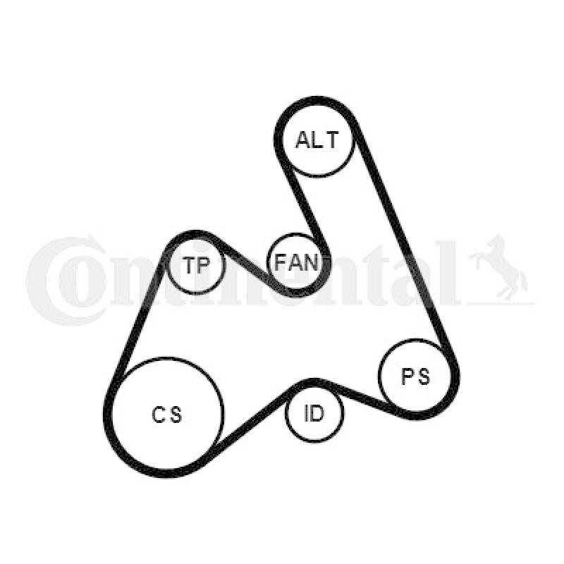 CONTINENTAL CTAM Keilrippenriemensatz