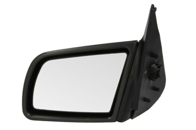 BLIC Exterior Mirror