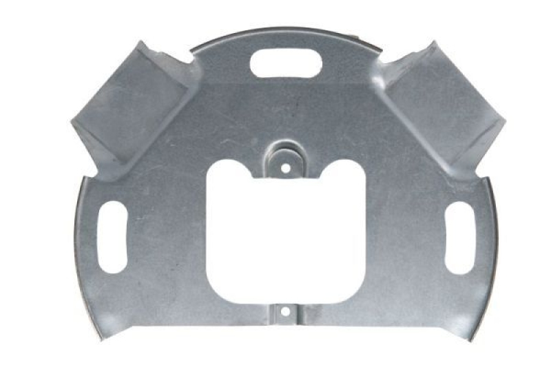 BLIC Splash Panel, brake disc