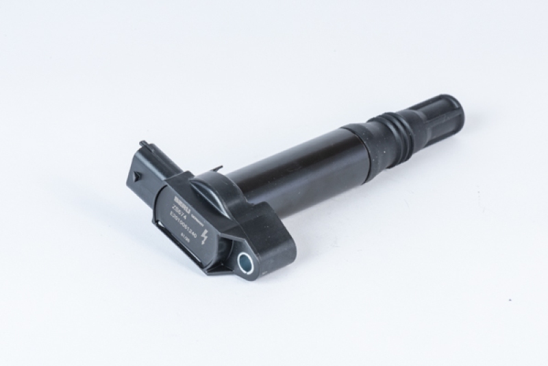 BorgWarner (BERU) Ignition Coil