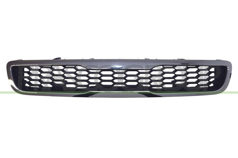 Radiator Grille Premium