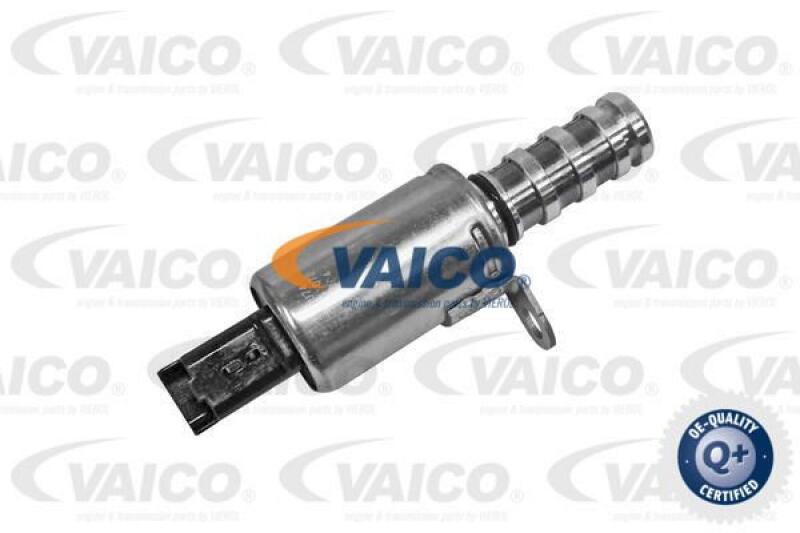 VAICO Control Valve, camshaft adjustment Green Mobility Parts