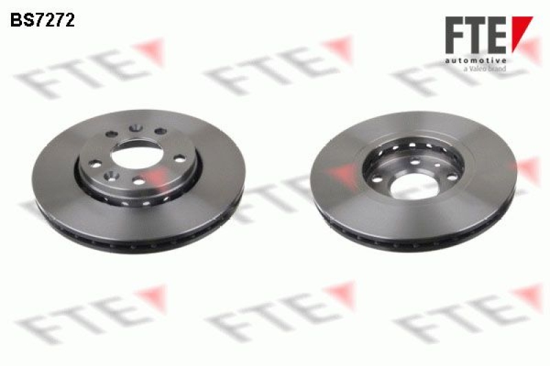 2x FTE Brake Disc