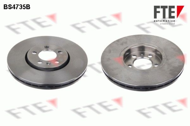 2x FTE Brake Disc