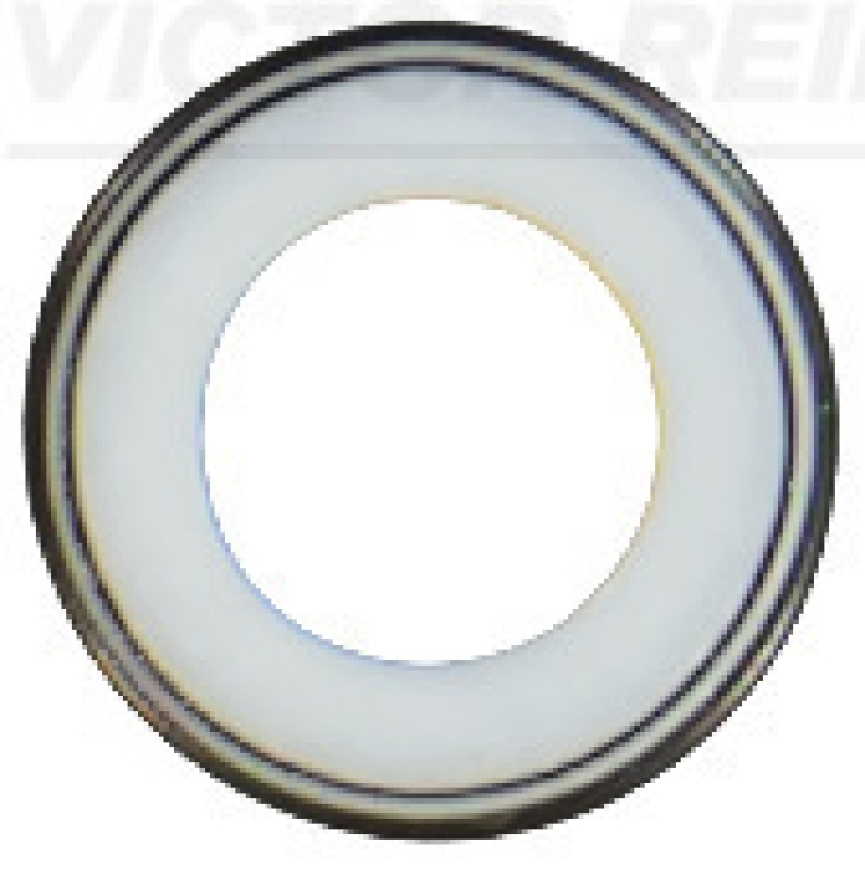 VICTOR REINZ Seal Ring, valve stem