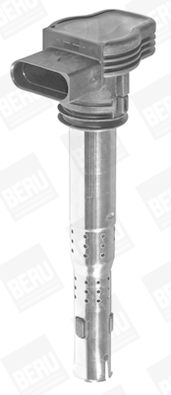 BorgWarner (BERU) Ignition Coil