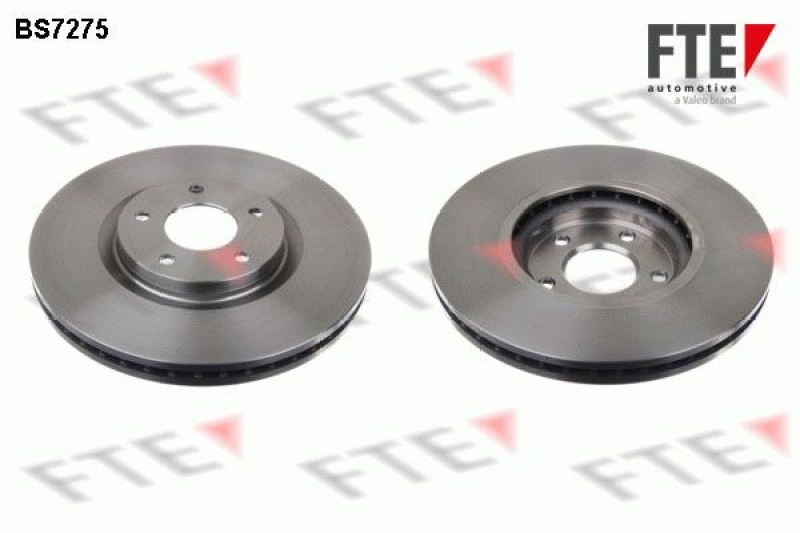 2x FTE Brake Disc