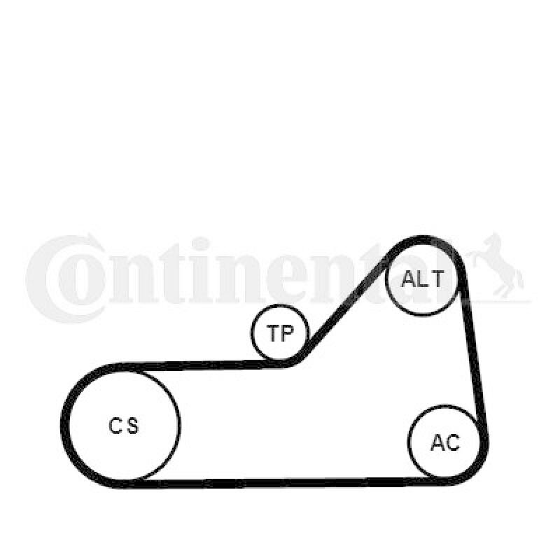 CONTINENTAL CTAM Keilrippenriemensatz