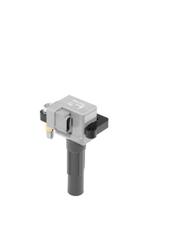 BorgWarner (BERU) Ignition Coil