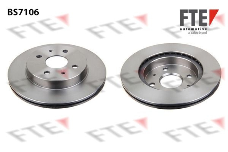 2x FTE Brake Disc