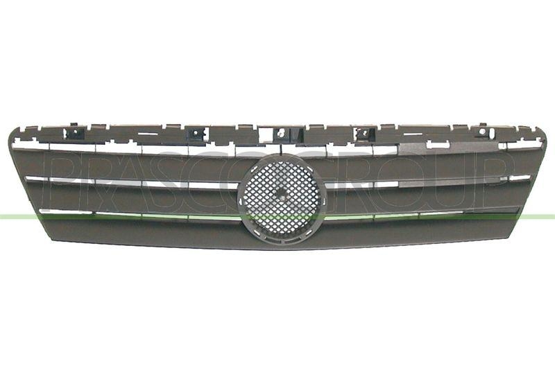 Radiator Grille