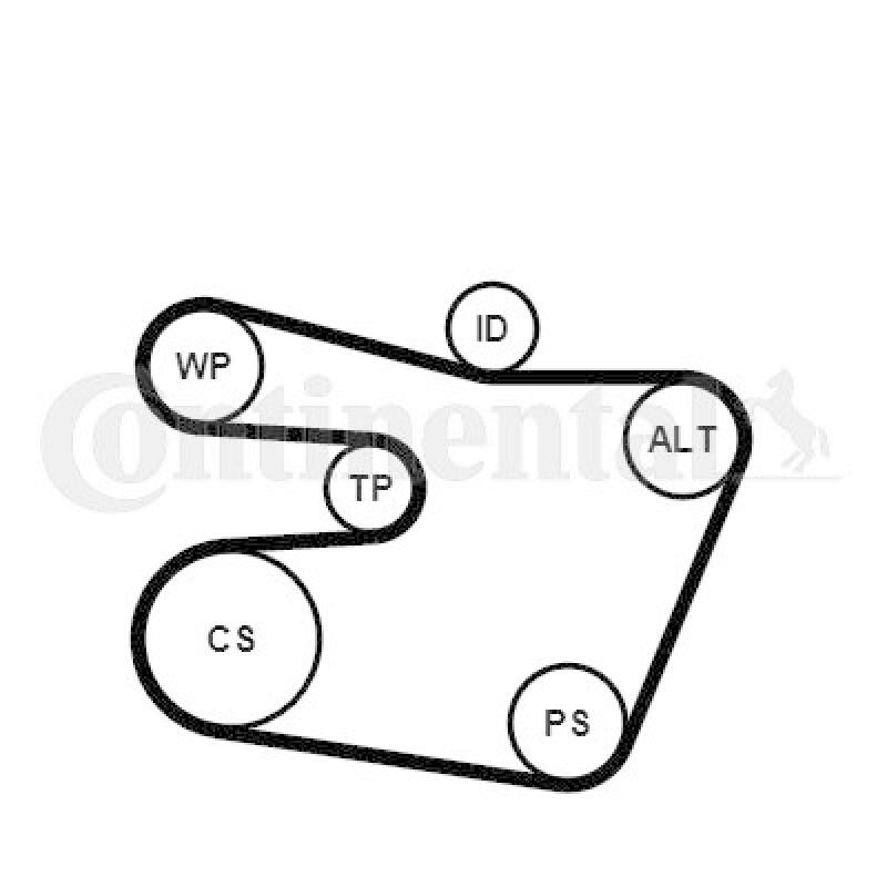 CONTINENTAL CTAM Keilrippenriemensatz
