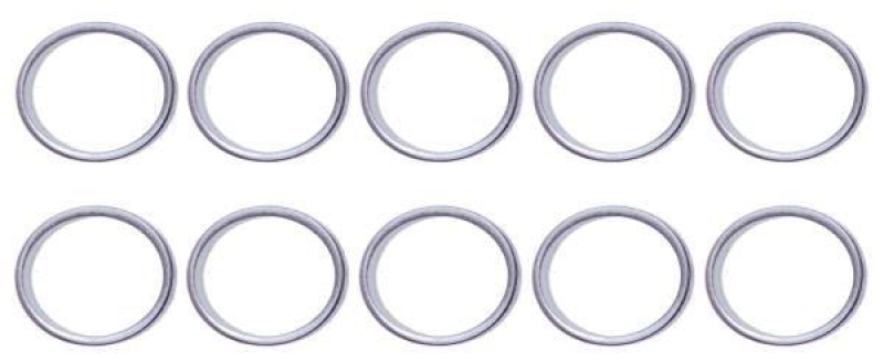 BGS Seal Ring Kit