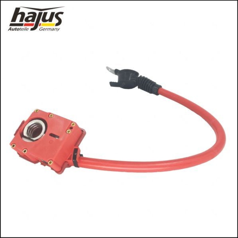 hajus Autoteile Batteriepolklemme