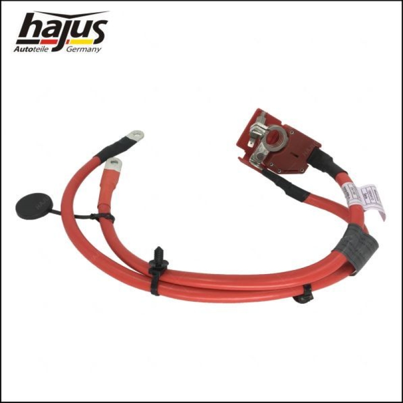 hajus Autoteile Batteriepolklemme